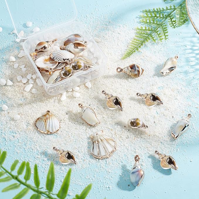 SUNNYCLUE 1 Box 24Pcs 6 Styles Sea Shell Pendants Electroplated Shell Charms - Image 4