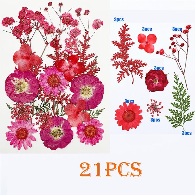 Woohome Natural Dried Pressed Flowers Leaves - Image 4