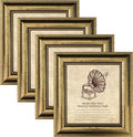 8x8 Picture Frame 4 set Ornate Vintage Picture Frames Gold by TKYGU
