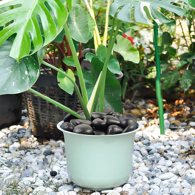 FANTIAN 10 lbs Black Rocks Pebbles - Image 4