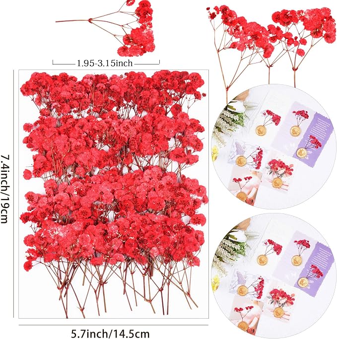50Pcs Red Babys Breath Dried Pressed Flowers - Image 2