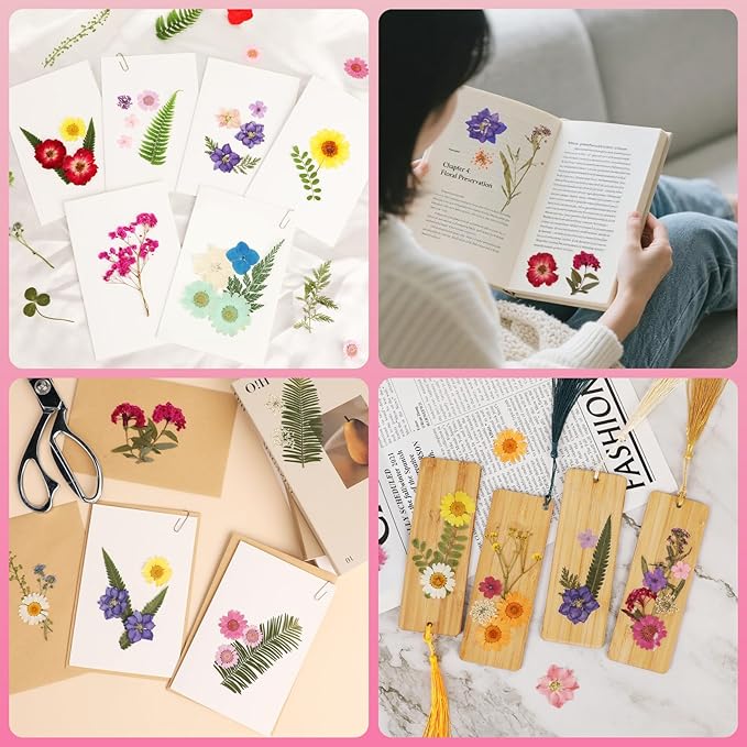 NESCCI 210 Pcs Dried Pressed Flowers - Image 5
