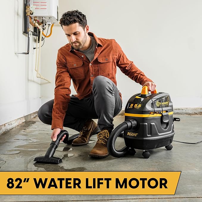 Vacmaster Professional Beast Series VFB511H 0201 5-Gallon 5.5 Peak HP Wet/Dry Vac, Black