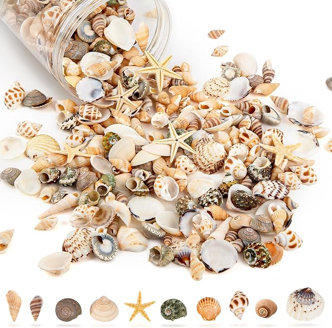 Tiny Sea Shells & 6 Starfish Decor Mixed Ocean Beach Spiral Seashells by WeDoSoy
