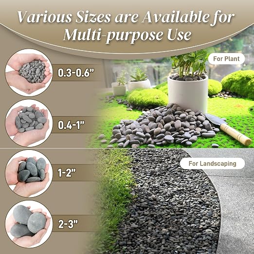 Quibbay 5 lbs Mexican Beach Pebbles, 0.4-1 Inch Natural River Rocks - Image 7