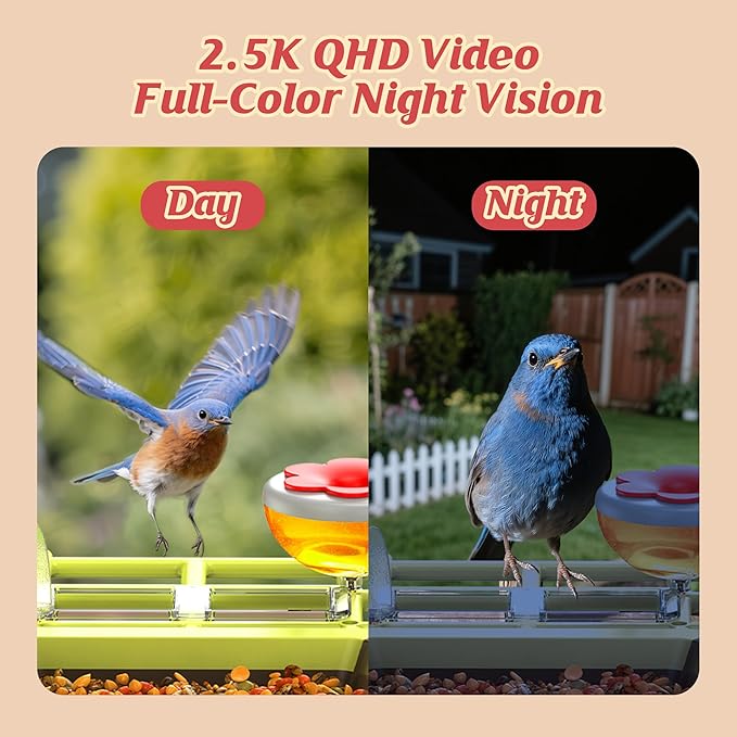 Smart Bird Feeder with Camera Outdoor: 2K Wild Bird Watching Video Cam - Image 4