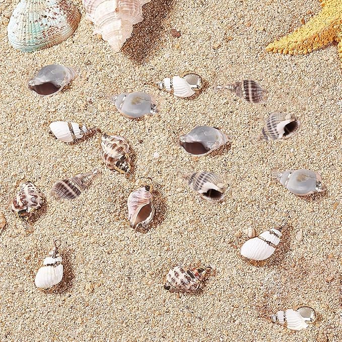 SUNNYCLUE 1 Box 16Pcs Oval Ocean Beach Spiral Seashells Craft Charms Connectors - Image 3