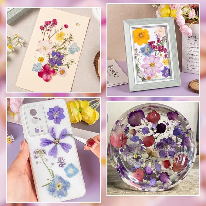 80PCS Spring Large Pressed Flowers Leaves, Real Nature Dry Flowers - Image 5