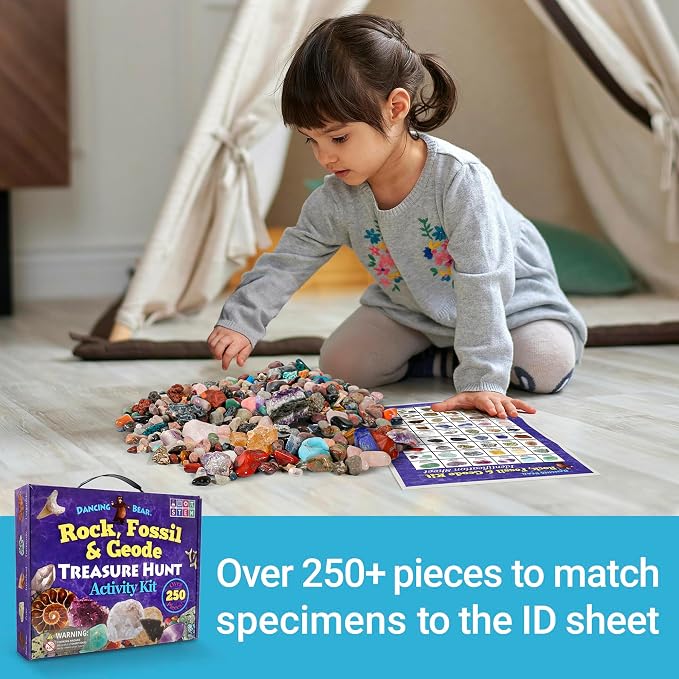 DANCING BEAR Rock, Mineral & Geodes Treasure Hunt Activity Kit Real Shark Teeth - Image 7