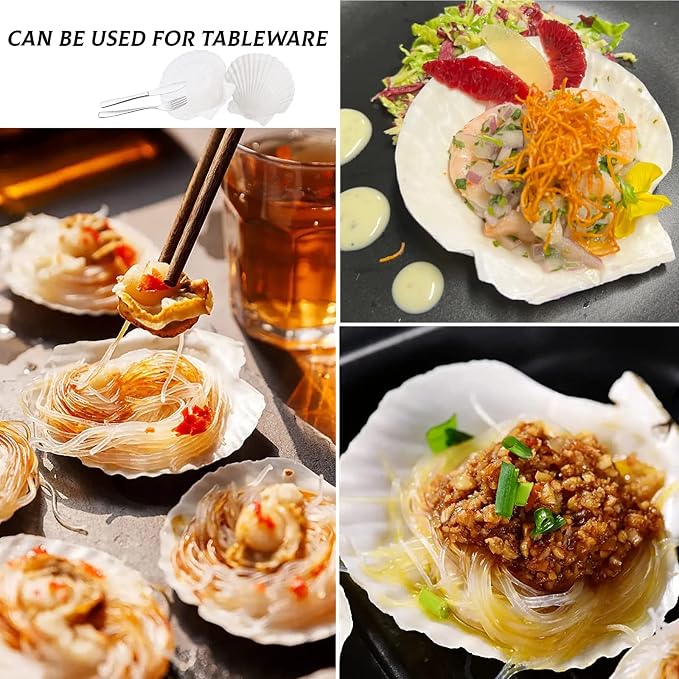 Lucky Baby 25pcs Scallop Shells - Image 6