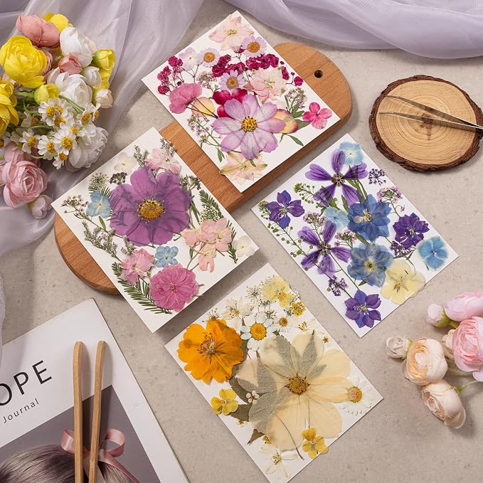 80PCS Spring Large Pressed Flowers Leaves, Real Nature Dry Flowers - Image 3