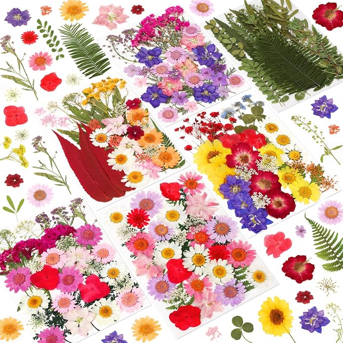 NESCCI 210 Pcs Dried Pressed Flowers by NESCCI