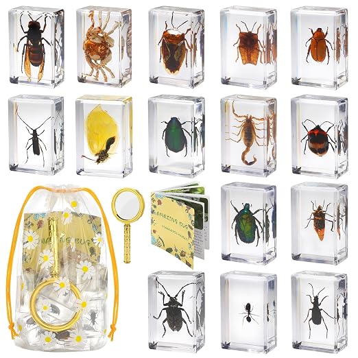 15 Real Insect Resin Specimens Set by Unknown