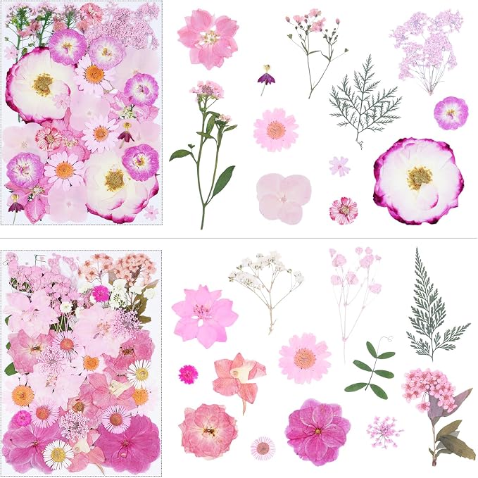 92Pcs Pink Dried Pressed Flowers - Image 3