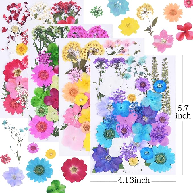 141Pcs Colorful Dried Pressed Flowers - Image 2
