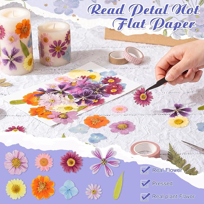 96 Pcs Natural Dried Pressed Flowers - Image 4