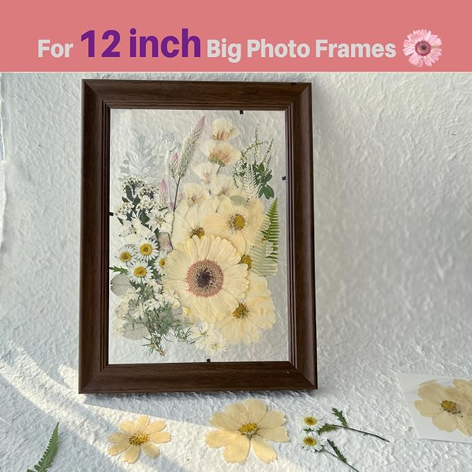 A4 Large Dried Pressed Flowers for Resin Pressed Flowers Real Dry Natural - Image 5