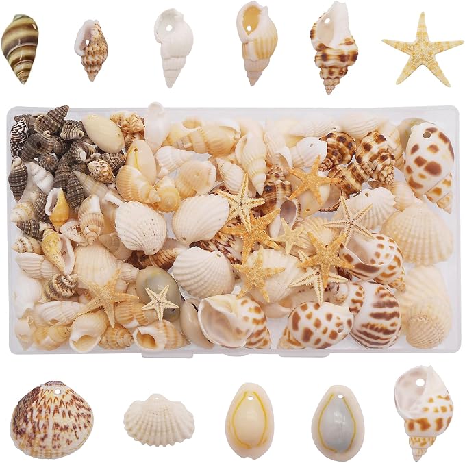 yaokan Natural Sea Shells & Starfish Set, Drilled Beach Shells | DIY Crafts - Image 5