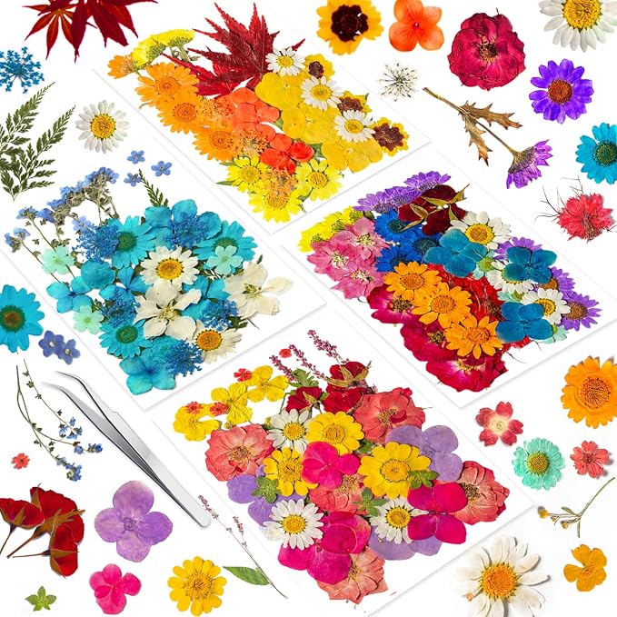 191PCS Real Nature Dried Pressed Flowers by YouthBro