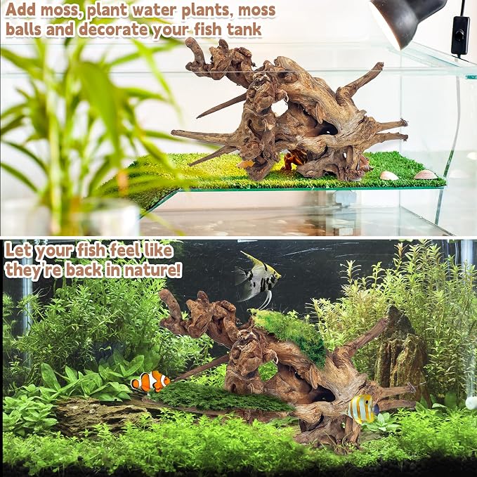 PINVNBY Natural Driftwood for Aquarium Fish Tank Decorations Assorted Branches - Image 8