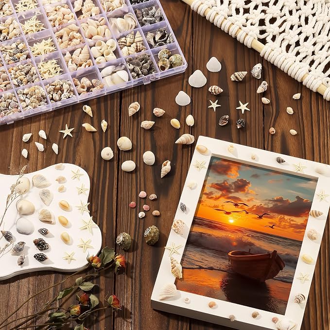 Zefy 23 Types Small Sea Shells for Crafts, Mini Shells for Vase Filler Beach - Image 5
