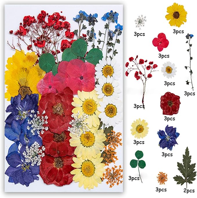 35Pcs Dried Pressed Flowers Leaves - Image 2
