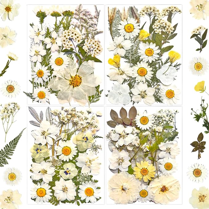 MIKIYA 90Pcs White Dried Pressed Flowers by MIKIYA
