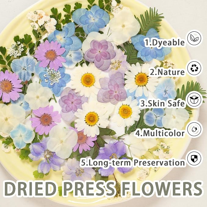 Dried Pressed Flowers Real Pressed Flowers Natural Dry Leaves Bulk Mixed - Image 2