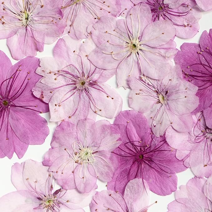 48 Pcs Dried Pressed Flowers for Resin DIY Art Crafts Natural Dry Sakura - Image 2