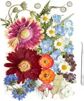 A4 Large Dried Pressed Flowers for Resin Real Dry Natural Flowers Leaves for by ZQmino