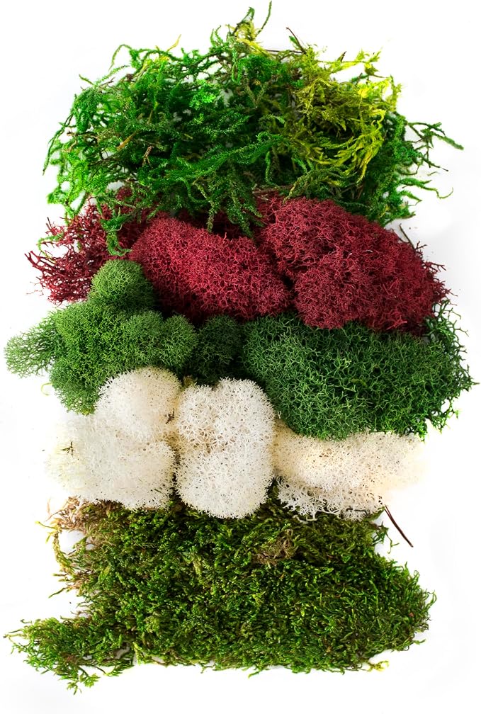SuperMoss Moss Mix – Premium Decorative Moss - Image 2