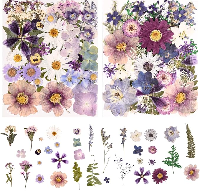 80PCS Pressed Dried Flowers & Leaves, Natural Color | Real Pressed Flowers by nisetten