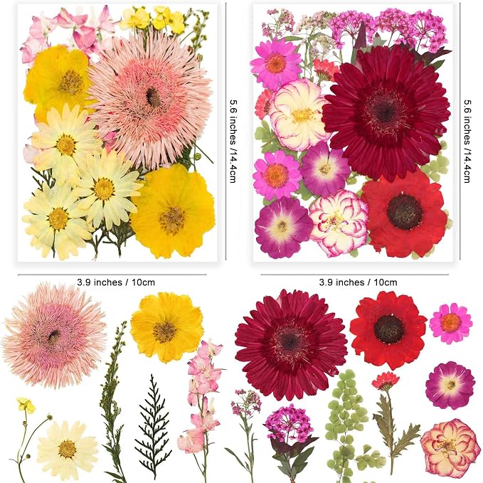 122PCS Large Nature Dried Pressed Flowers - Image 3