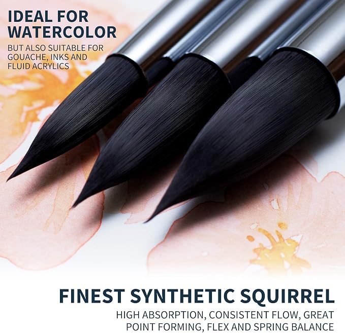 ARTEGRIA Watercolor Brush Set, 10 Professional Soft Synthetic Squirrel Paint - Image 5