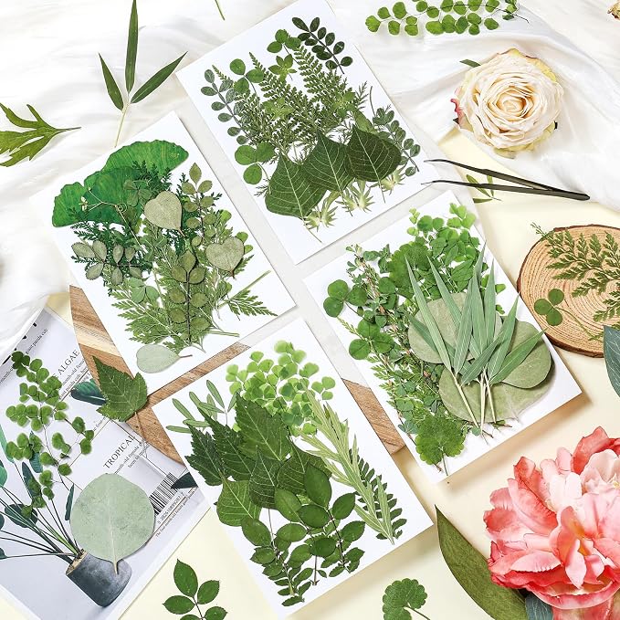 86Pcs Dried Pressed Flowers Leaves - Image 2