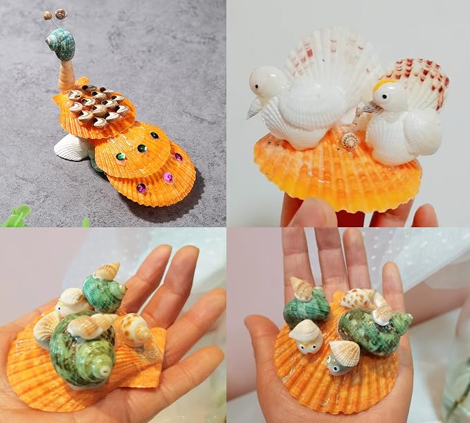 Colorful 50+ Pcs Scallop Shell Natural Mixed Color Seashells - Image 7
