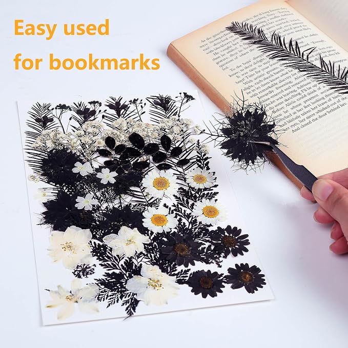 12 Types 48PCS Real Dried Pressed Flowers - Image 5