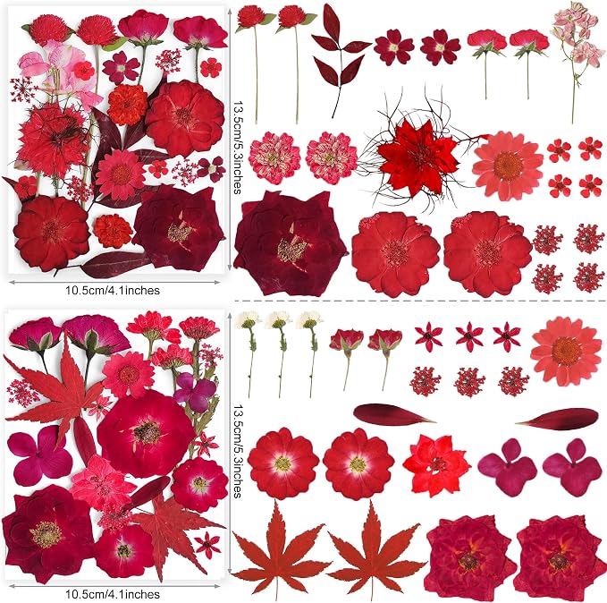 150PCS Red Dried Pressed Flowers - Image 4