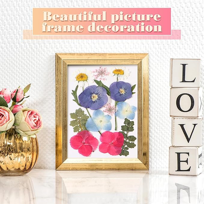 eBoot 72 Pcs Dried Pressed Flowers - Image 6