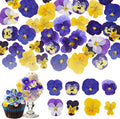 70 Pcs 8 Kinds Natural Dried Pressed Edible Flowers by Fangkic