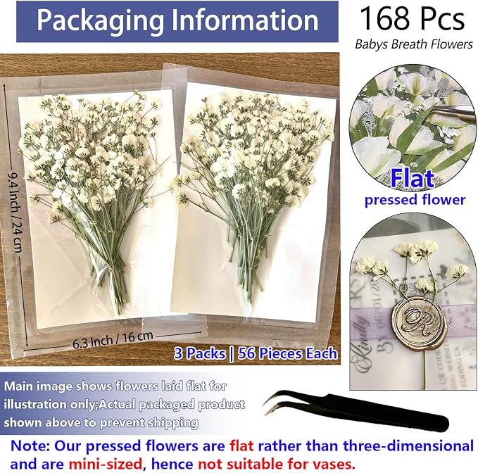168Pcs Babys Breath Mini Dried Pressed Flowers - Image 3