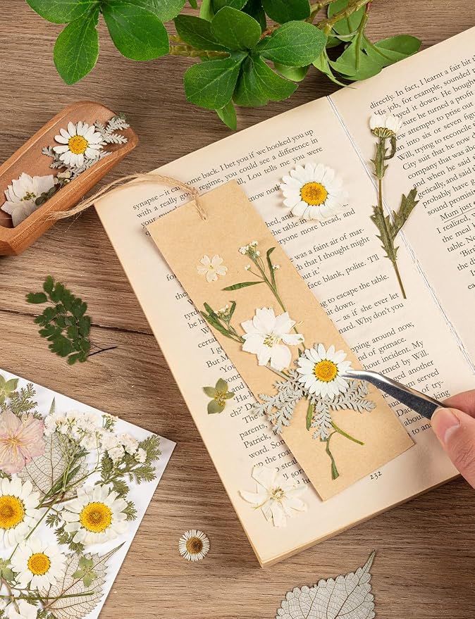 100pcs White and Light Yellow Dried Pressed Flowers Bulk, Natural Fall Pressed - Image 6