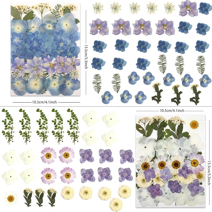 LUXEEASE 140P Hydrangea Dried Pressed Flowers | Large petals, star blooms - Image 2