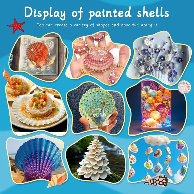 MORFEN 20 PCS Scallop Shells Seashells - Image 7