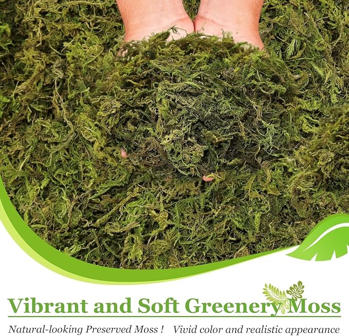 Riare 2.6LB Natural Moss Artificial Fake Moss Alternative - Image 4