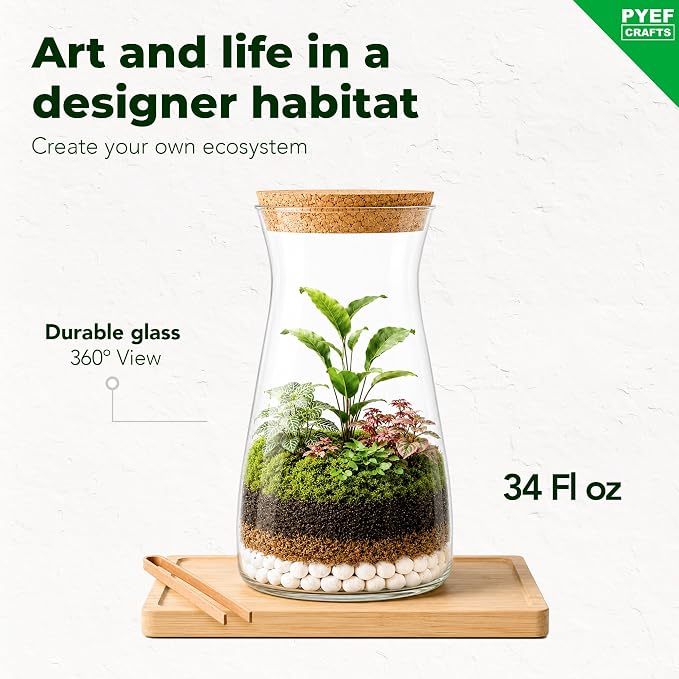 Terrarium Kit for Plants DIY | Starter Pack – Closed Ecosystem – 34 fl oz Glass - Image 2