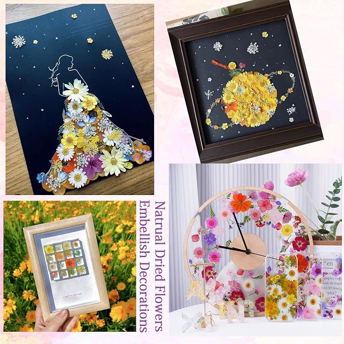 141Pcs Colorful Dried Pressed Flowers - Image 8