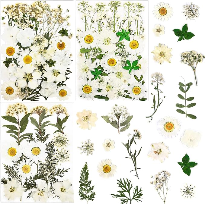 86Pcs White Pressed Dried Flowers Real Natural Leave by LUCISKY