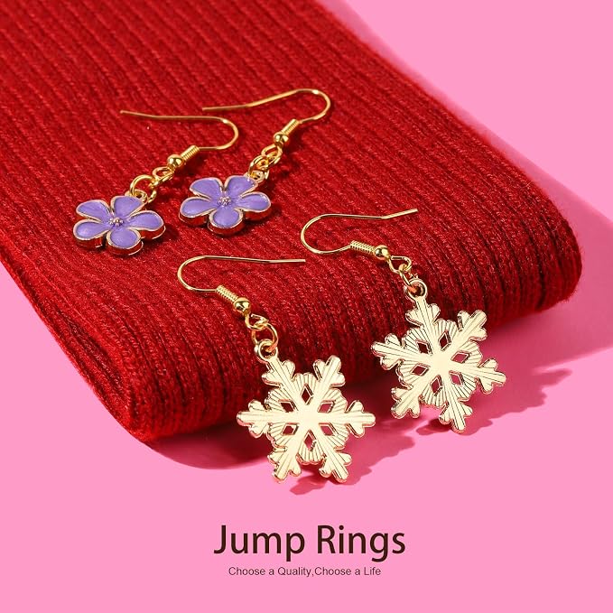 LEOBRO Jump Rings, Keychain Clip and Key Ring, Key Chain Rings, Lobster Claw - Image 5