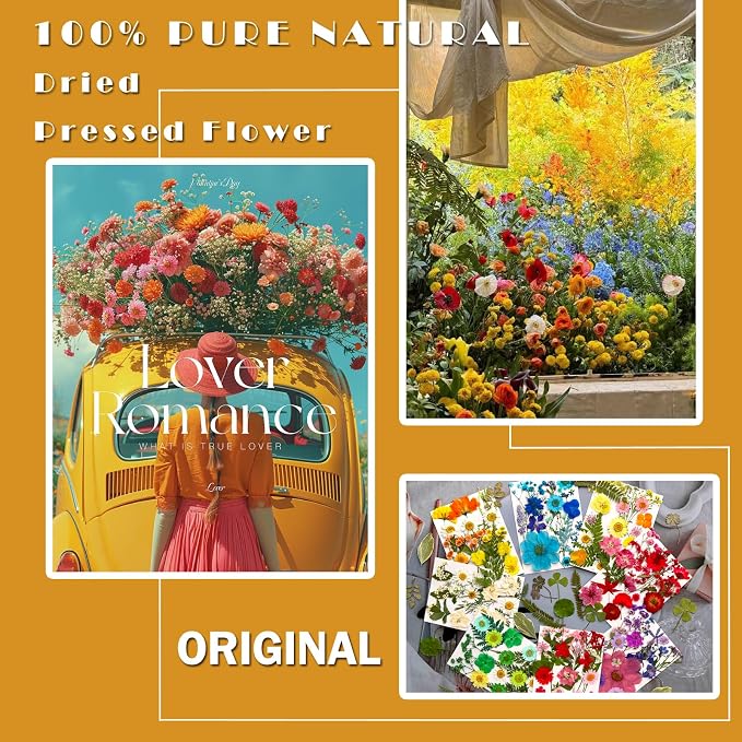 MIKIYA 182Pcs Dried Pressed Flowers - Image 2
